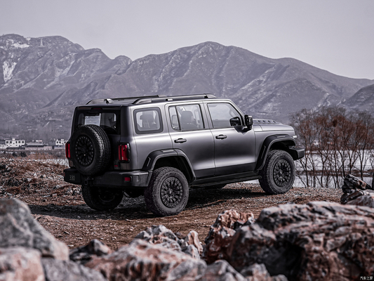 Vordere Rücken Scheibenbremsen Euro VI Große Wand TANK300 Treibstoff SUV für Great Value SUV