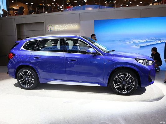 Elektrisches Lenksystem und Macpherson Vorderaufhängung IX1 EV Kompakter SUV Sportwagen