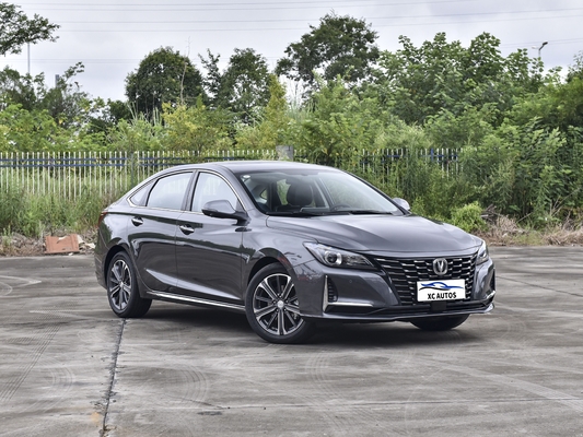 2023 Changan RAETON PLUS Euro VI Emissionslimousine mit R16 Gas/Benzin und Ledersitze