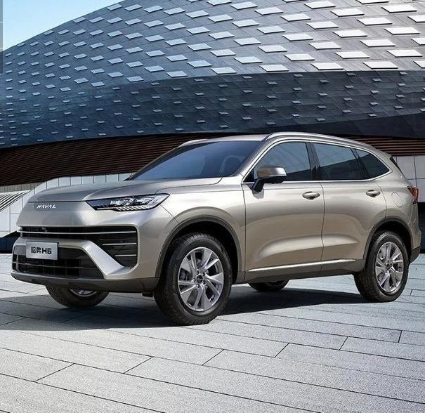 2023 2022 Haval H6 Automatisches Zubehör Hybride LED Elektrische Karosserie-Kit Treibstoffgas/Benzin